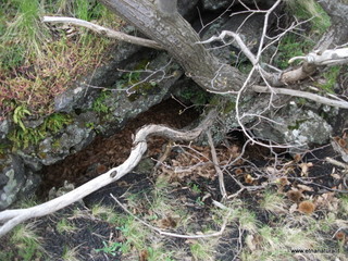Grotta Acqua Vitale